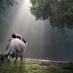 Amazing Photography by Dewan Irawan