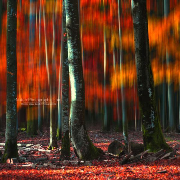 Landscape Photography by Philippe Sainte-Laudy | Art and Design