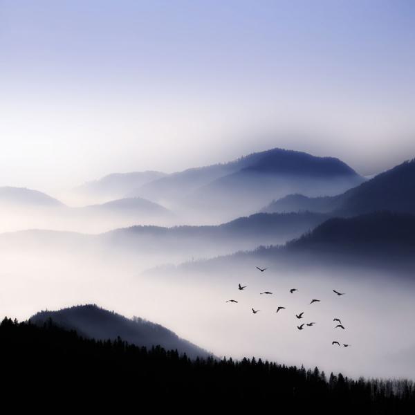 flying_over_the_fog_by_philippe_saintelaudy600_600