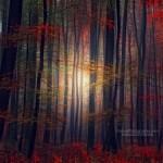 Landscape Photography by Philippe Sainte-Laudy