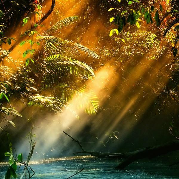 radiance_by_isac_goulart600_600