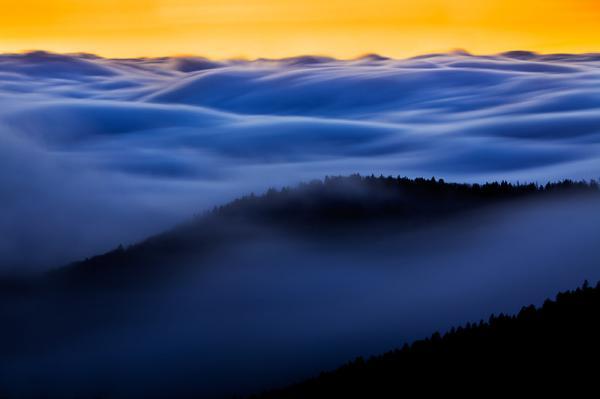 richard_bernabe3600_399