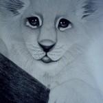 Animal Portrait Illustrations by sinsenor