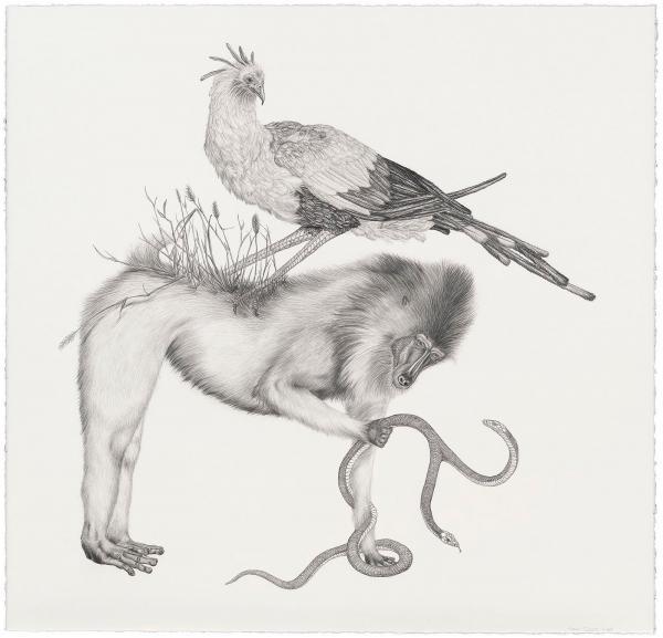 snake_baboon_chicken_prs_by_tara_tucker600_577