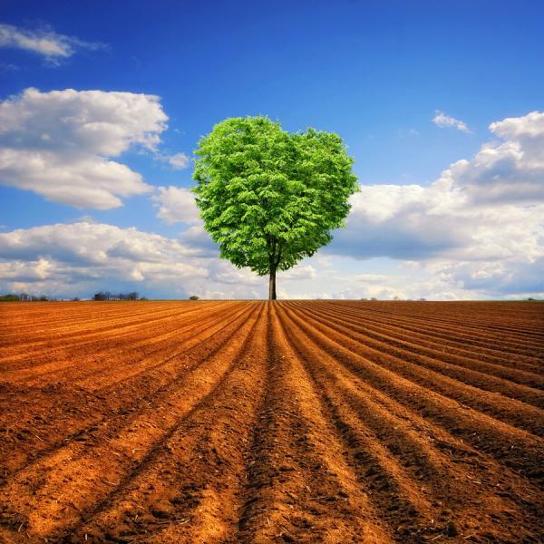 tender_nature_by_philippe_saintelaudy600_600