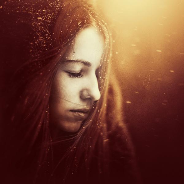 tertius_alio48600_600