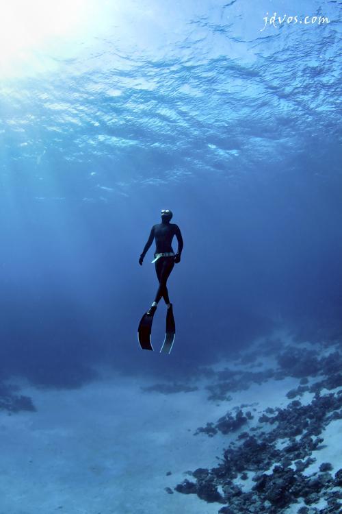Underwater Photography by Jacques de Vos | Art and Design