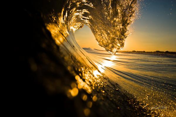 Brad Styron _3600_400