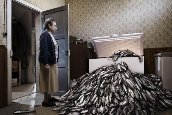 Romain Laurent_12600_400