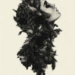 Illustrations by Ross Mcewan