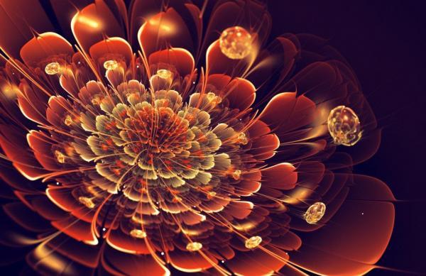 Silvia GufoZucca Cordedda_12600_389