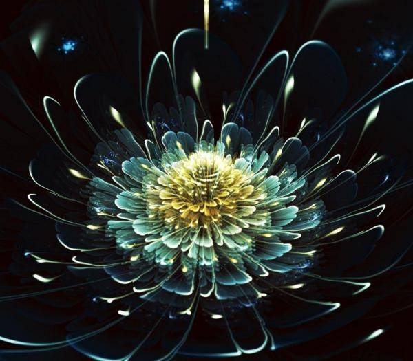 Silvia GufoZucca Cordedda_13600_525