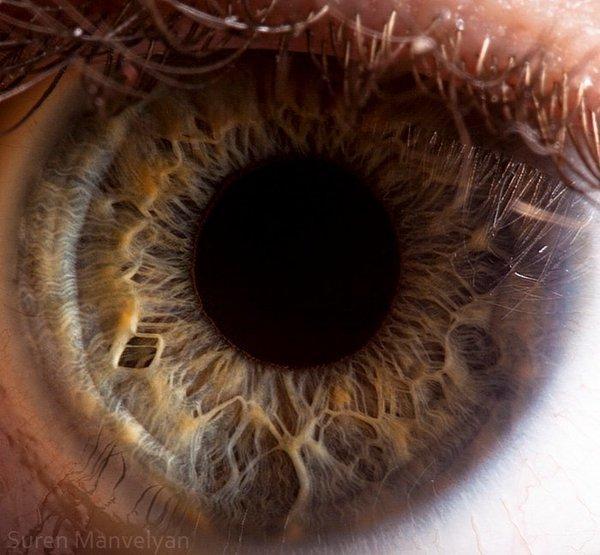 Suren Manvelyan_11600_555
