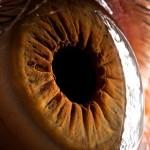 Your beautiful eyes by Suren Manvelyan