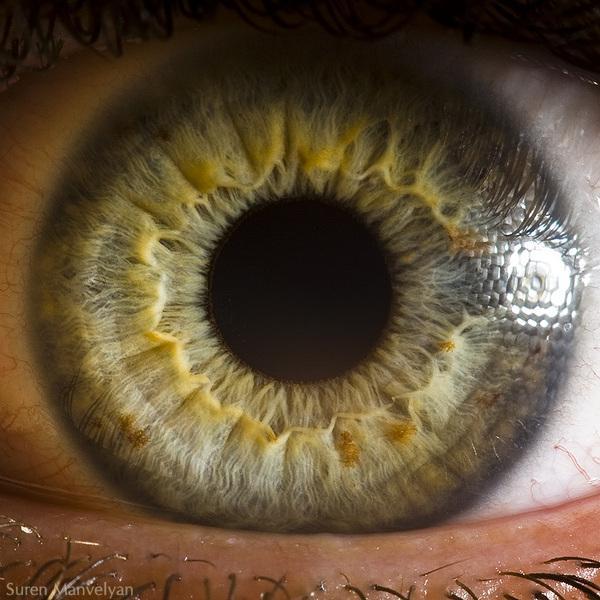 Suren Manvelyan_6600_600