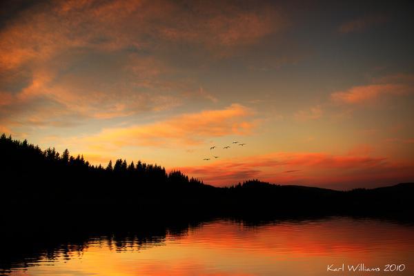 ard dawn_by_Karl Williams600_400