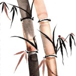 Elegant Sumi-e Paintings by Casey Shannon