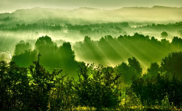 ray in the fog_by_Lluis de Haro Sanchez600_367