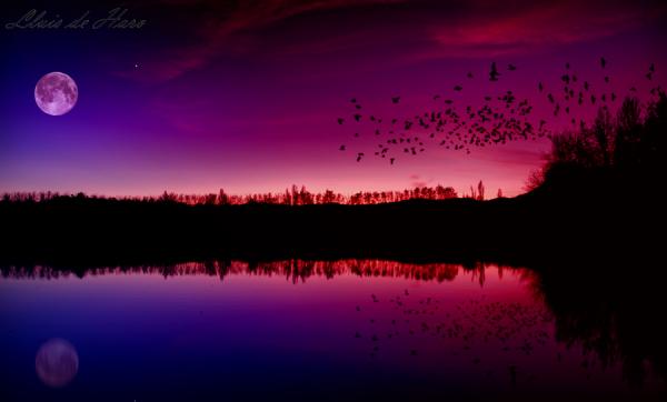 reflections on lake grauges_by_Lluis de Haro Sanchez600_362