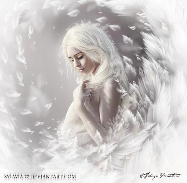 swan_by_braciata600_586