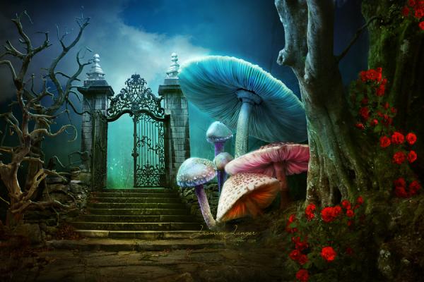 wonderland_by_jasmin_junger600_400