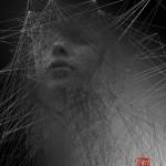 Illustrations by Andre Wee