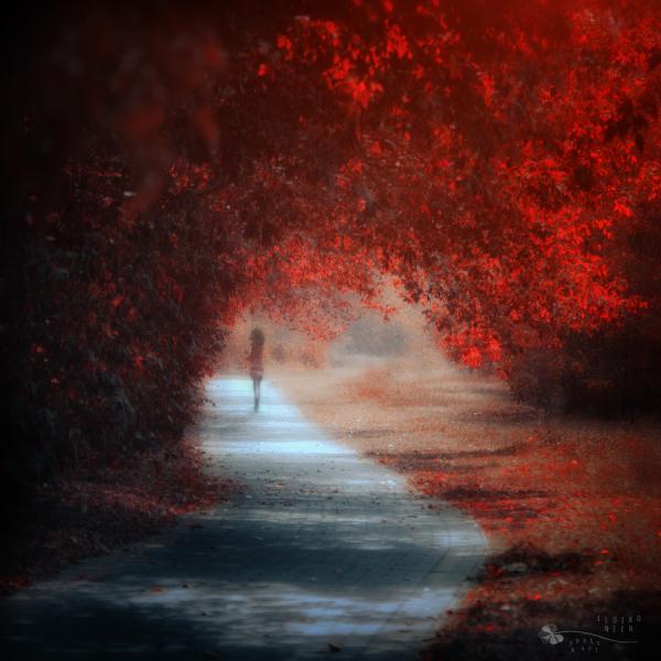 Ildiko Neer_2600_600