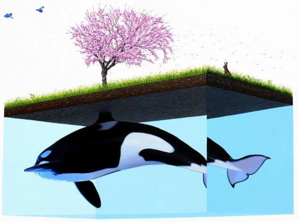 Josh Keyes_11600_446