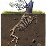 Scientific Textbook illustrations by Josh Keyes