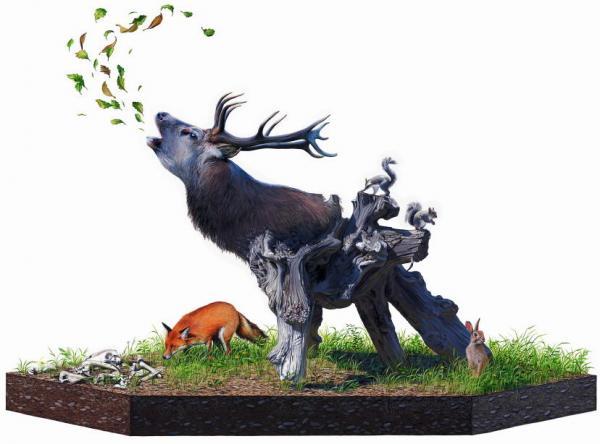 Josh Keyes_5600_444