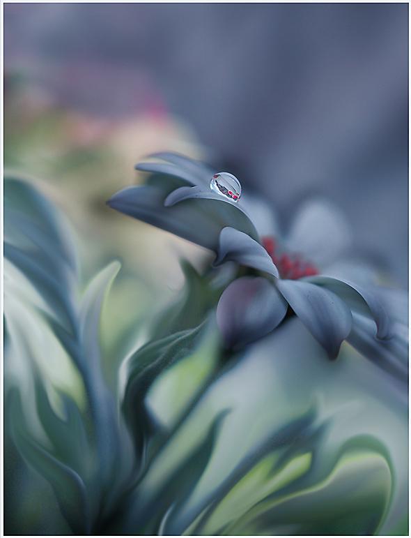 Juliana Nan_10_590_771