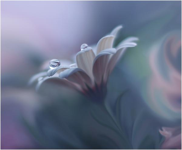 Juliana Nan_11600_496