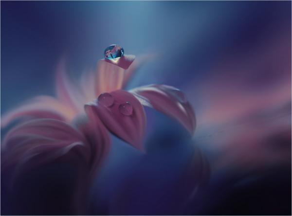 Juliana Nan_12600_444