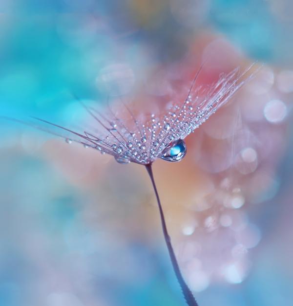 Juliana Nan_13600_626