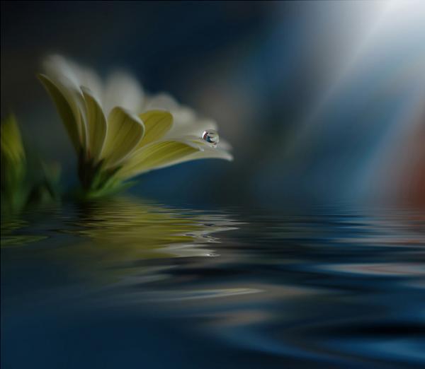 Juliana Nan_14600_522