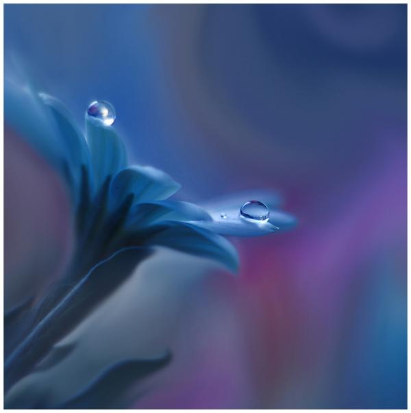 Juliana Nan_15600_603