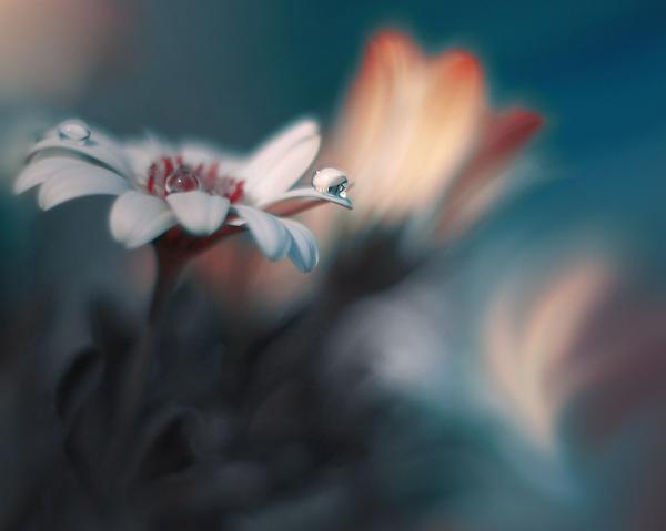 Juliana Nan_3600_479