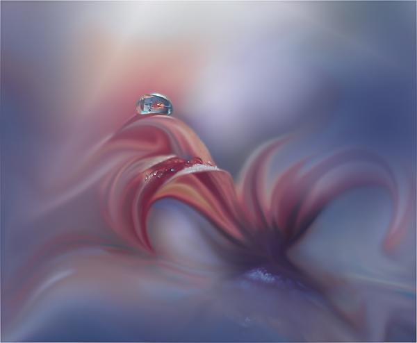 Juliana Nan_5600_494