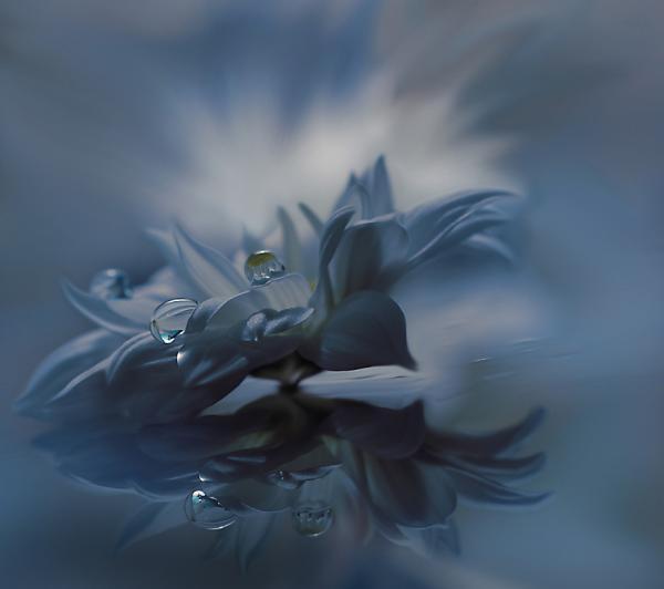 Juliana Nan_6600_532