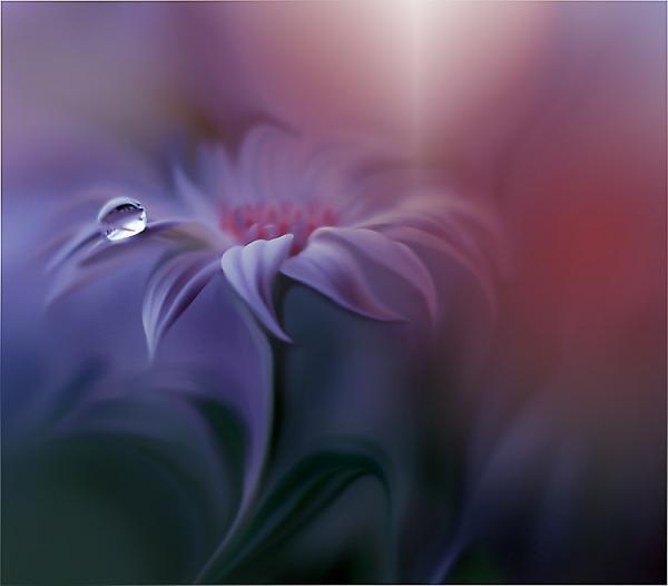 Juliana Nan_8600_526