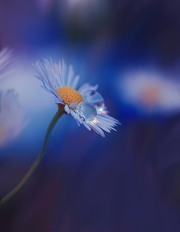 Juliana Nan_9600_775