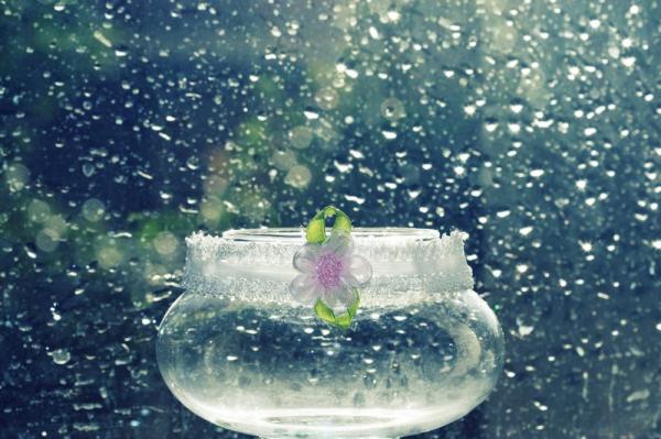 full_of_good_wishes__by_incredi600_399