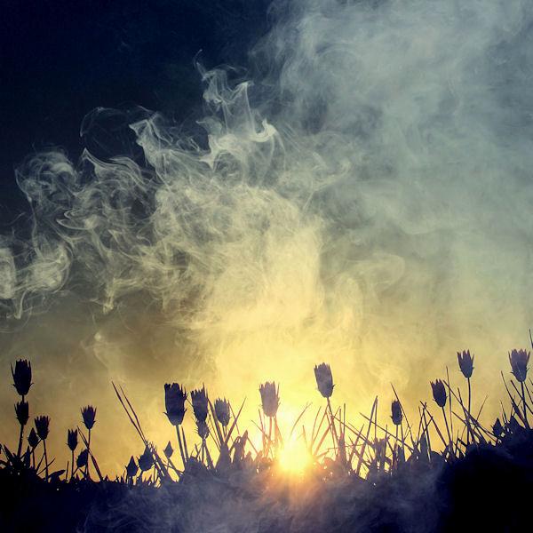 gone with the wind._by_incredi600_600