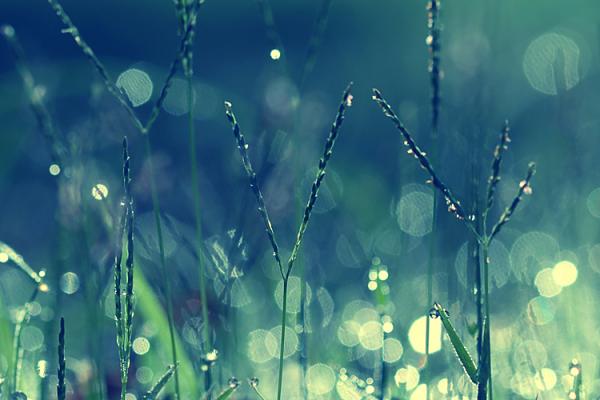 in the land of wonders._by_incredi600_400