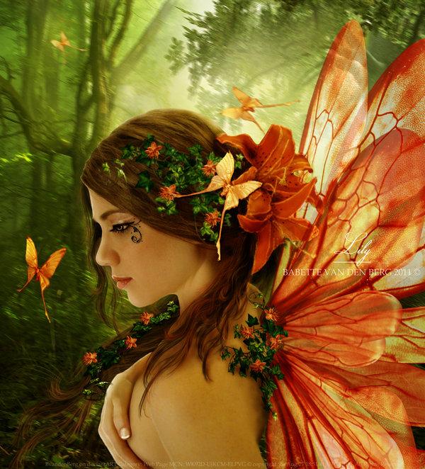 lily_by_bvandenberg600_662