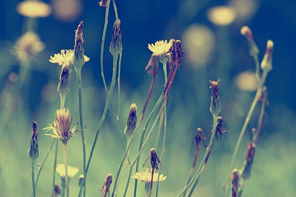 none_by_incredi600_399