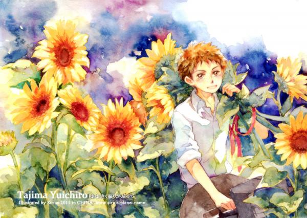 sunflower_and_tajima_by_siriusplanet600_426
