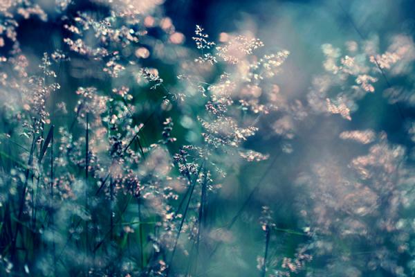 time to say goodnight._by_incredi600_400