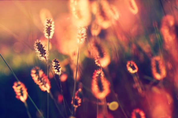 tonight__by_incredi600_400