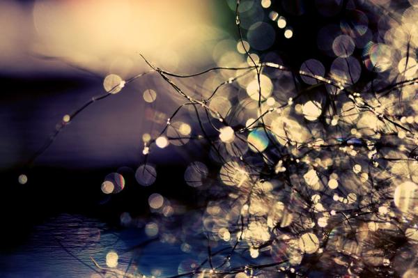 where_fairies_dream__by_incredi600_399